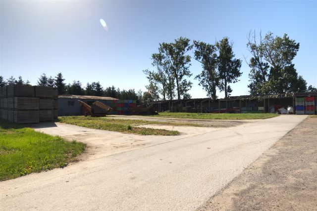 Lokal Błonie. Zdjęcie 27