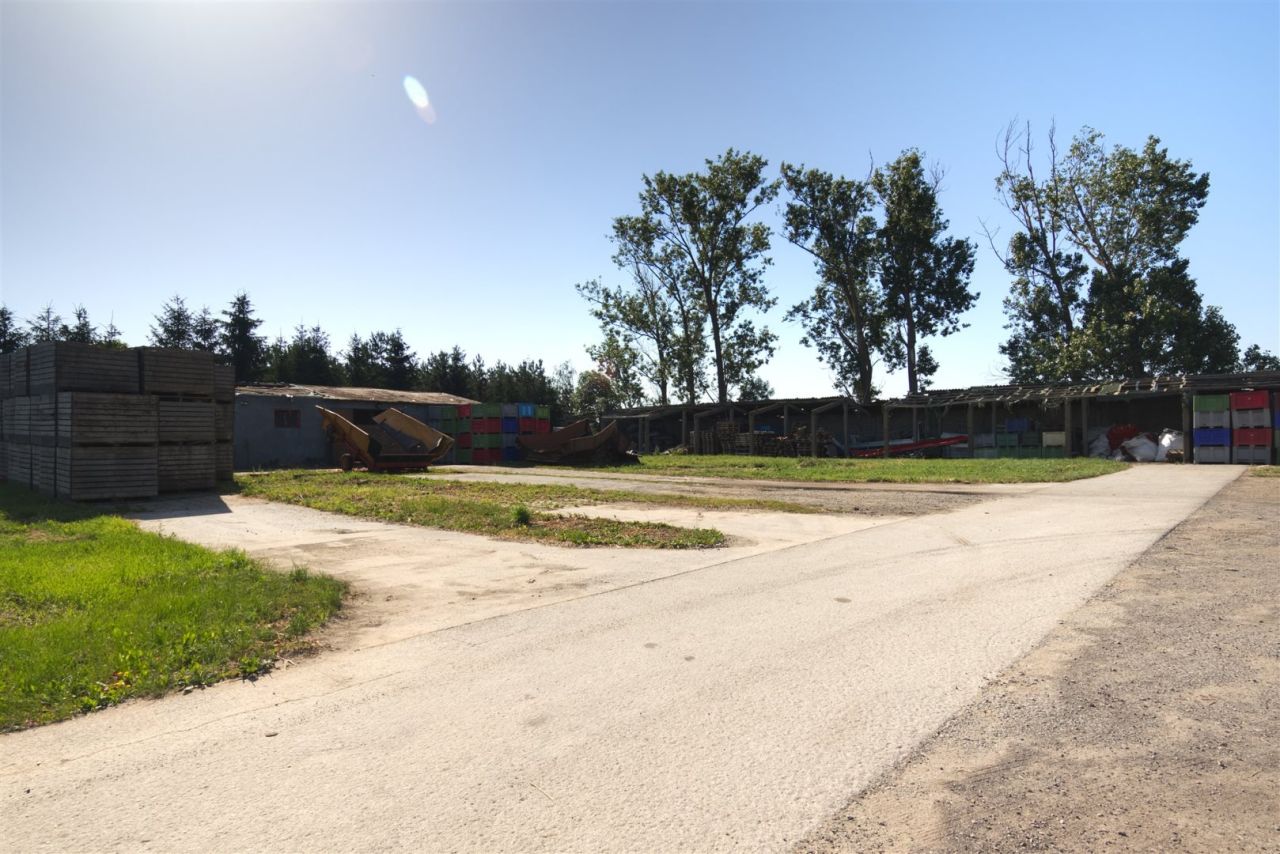 Lokal Błonie. Zdjęcie 27