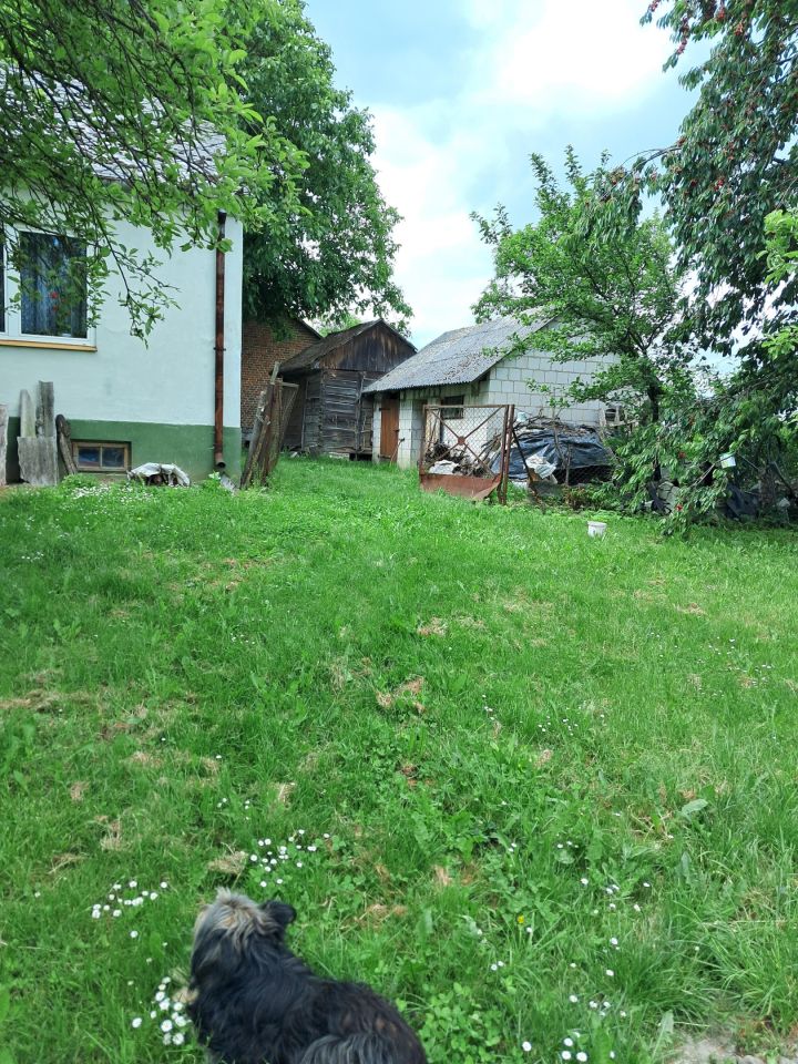 gospodarstwo, 2 pokoje Orchowiec. Zdjęcie 13