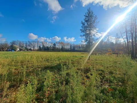 Działka rolno-budowlana Cmolas Dąbrówka. Zdjęcie 2