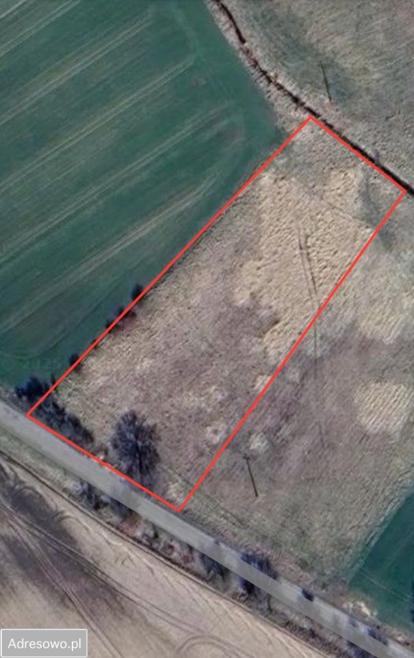 Działka budowlana Gosław. Zdjęcie 5