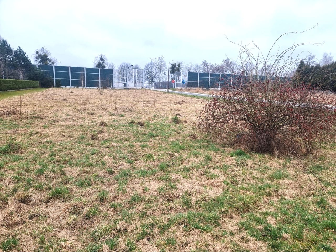 Działka budowlana Warszowice, ul. Kościelna. Zdjęcie 2