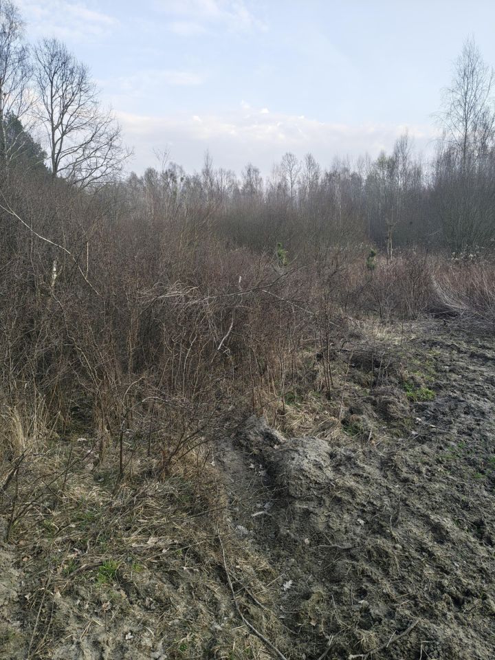 Działka rolno-budowlana Joachimów-Mogiły. Zdjęcie 7