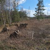 Działka budowlana Ławki, ul. Główna. Zdjęcie 1