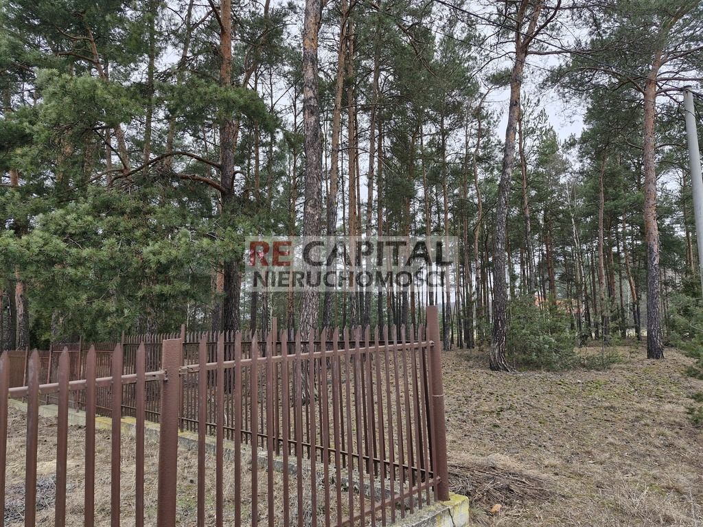 Działka inwestycyjna Adelin. Zdjęcie 5