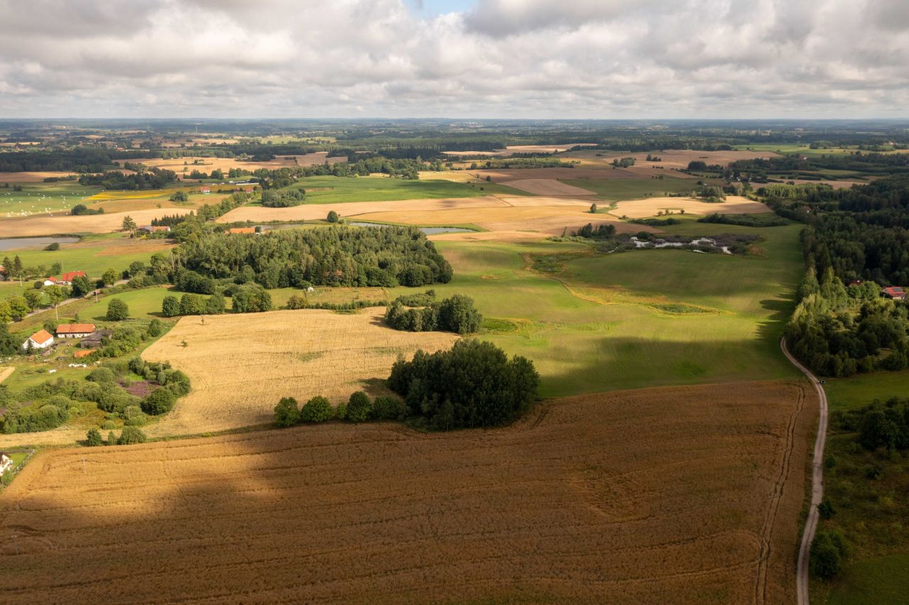 Działka rolno-budowlana Pajtuny. Zdjęcie 3