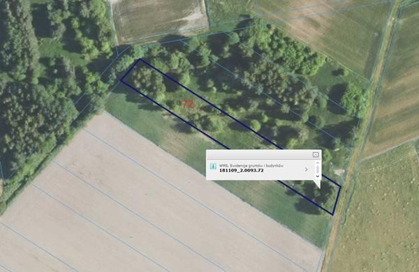 Działka rolna Grochowe. Zdjęcie 3