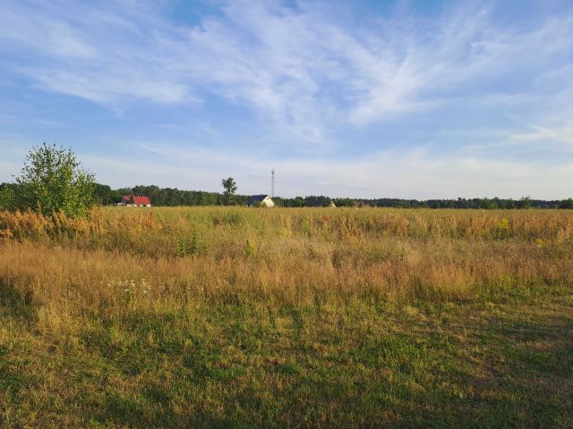 Działka Nienawiszcz. Zdjęcie 1