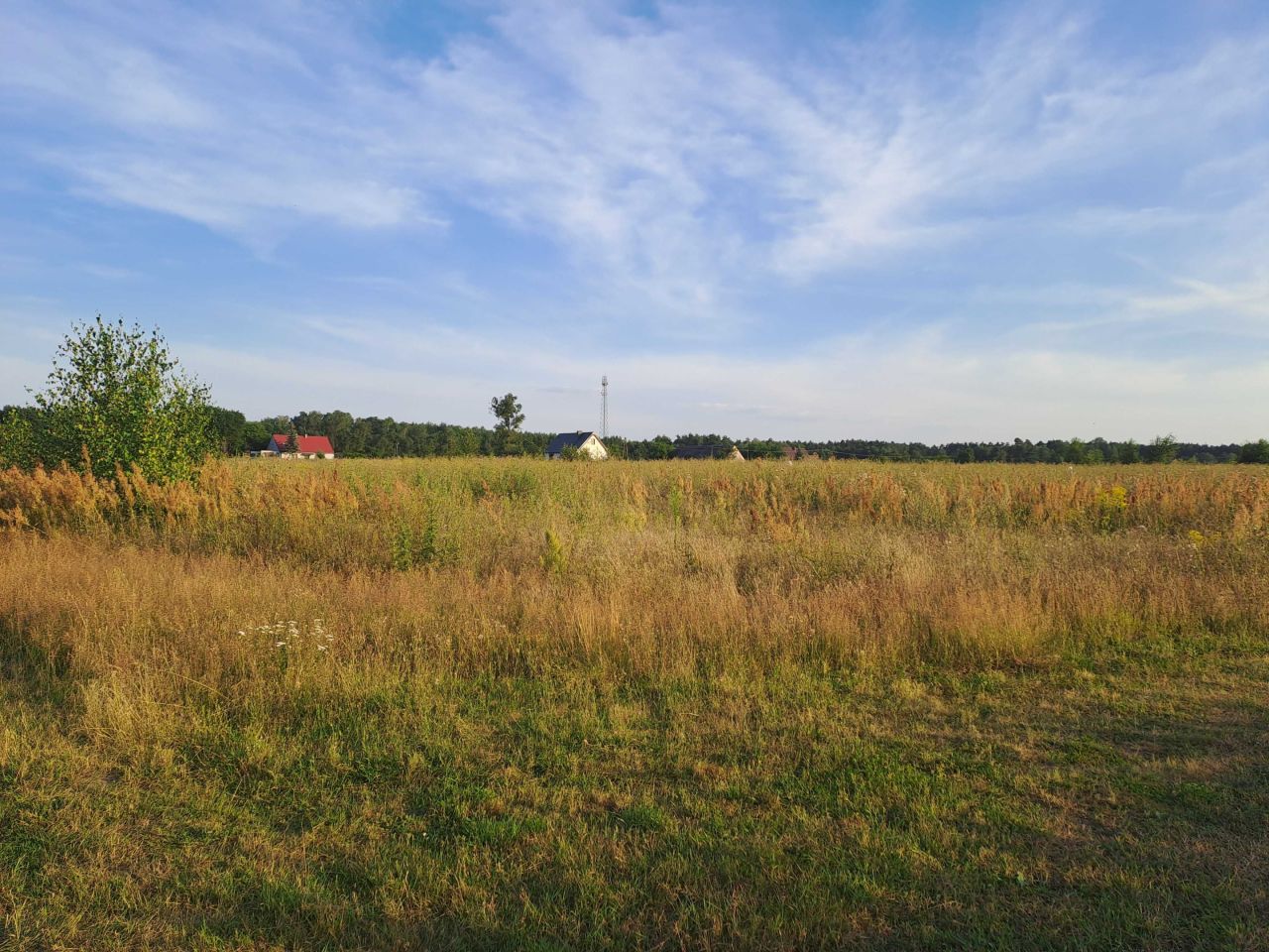 Działka Nienawiszcz