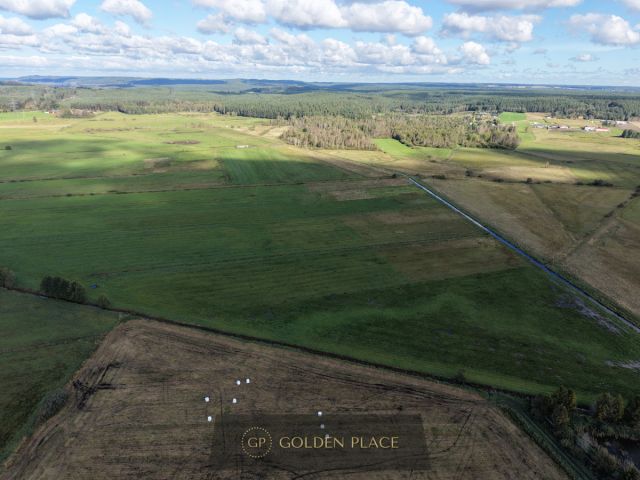 Działka rolna Kniewo. Zdjęcie 8