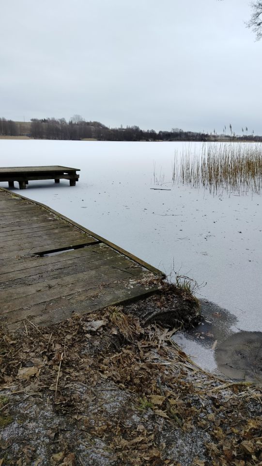 Działka rekreacyjna Radzynek. Zdjęcie 32