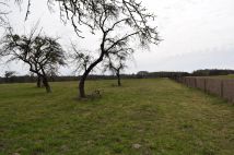 dom wolnostojący, 2 pokoje Bronów. Zdjęcie 4