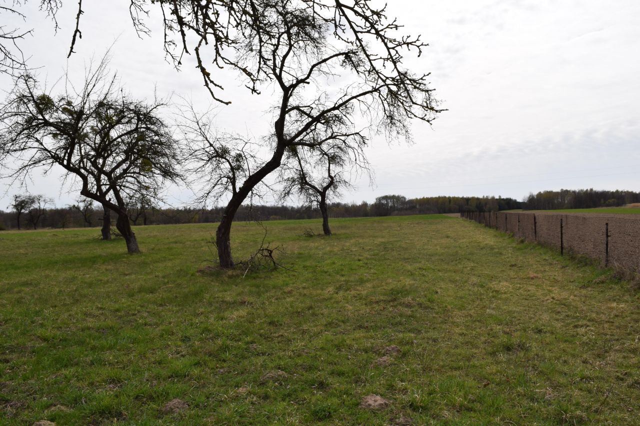 dom wolnostojący, 2 pokoje Bronów. Zdjęcie 5