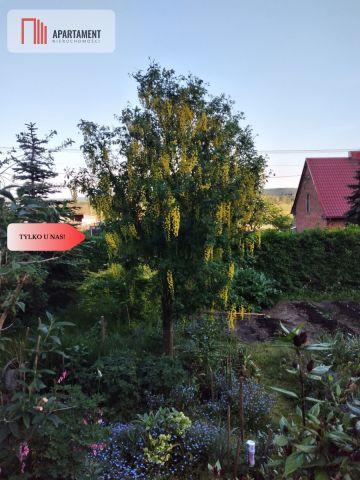 dom wolnostojący, 6 pokoi Chocielewko. Zdjęcie 10