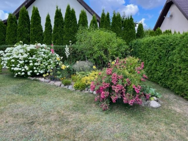 dom, 4 pokoje Oświno. Zdjęcie 16