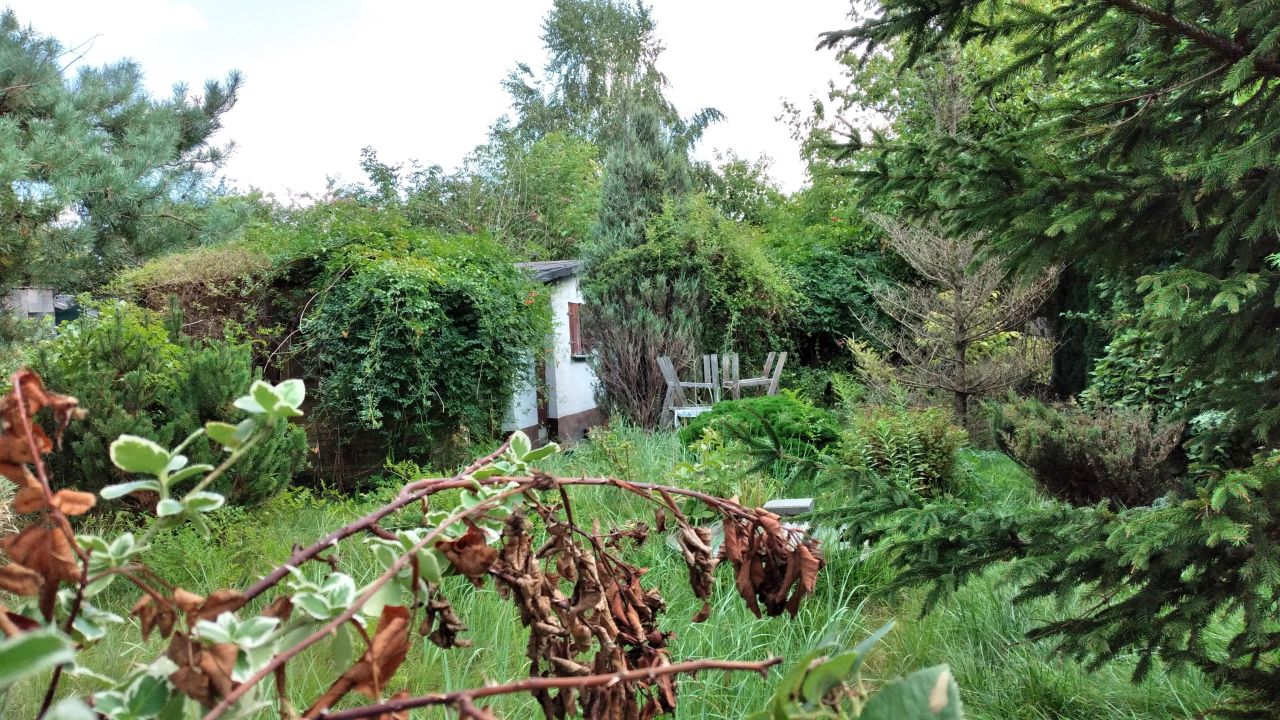 Działka rod Warszawa Paluch, ul. Paluch. Zdjęcie 2