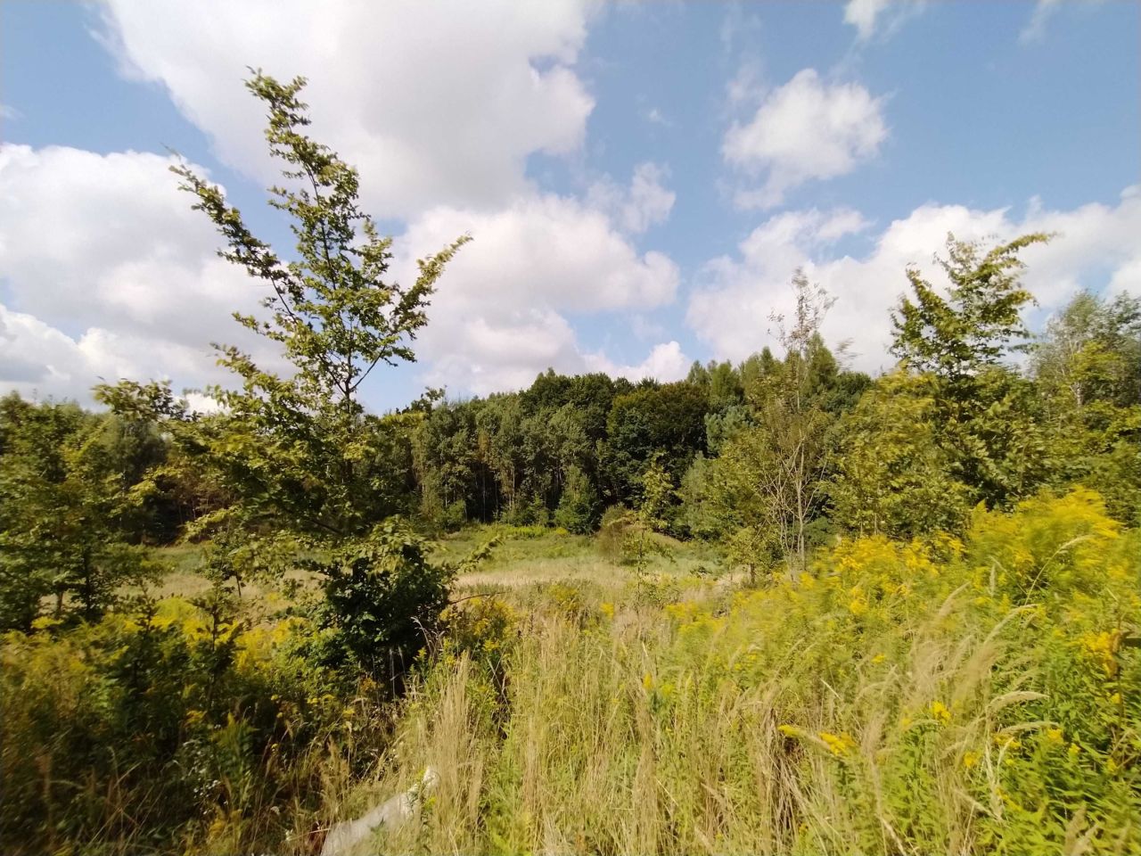 Działka rolna Polany. Zdjęcie 7