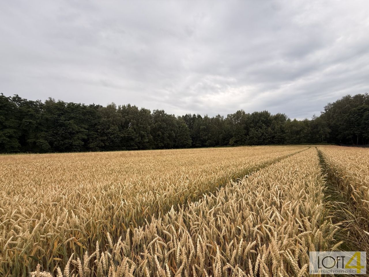 Działka rolno-budowlana Wojnicz. Zdjęcie 10