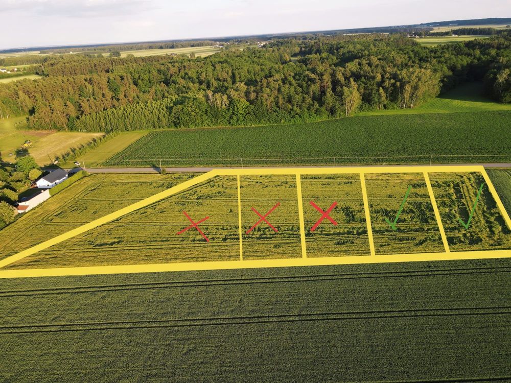 Działka budowlana Brzozów-Kolonia. Zdjęcie 1