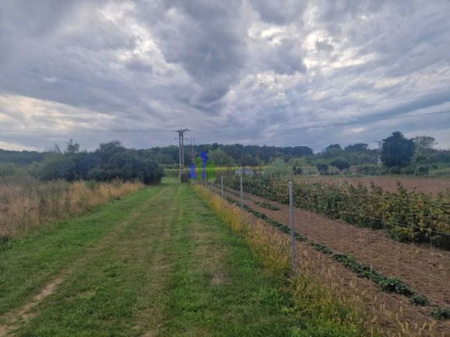 Działka budowlana Gajków. Zdjęcie 2