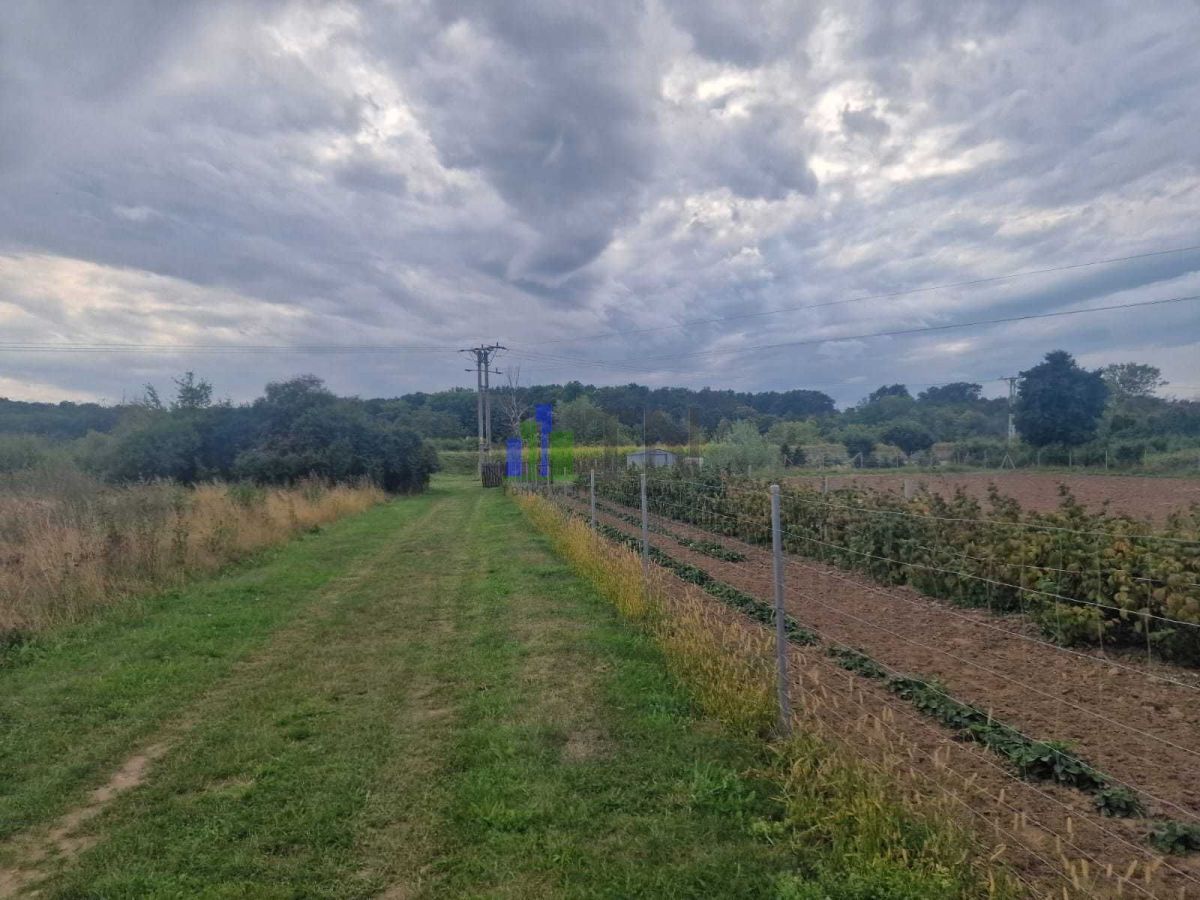 Działka budowlana Gajków. Zdjęcie 2