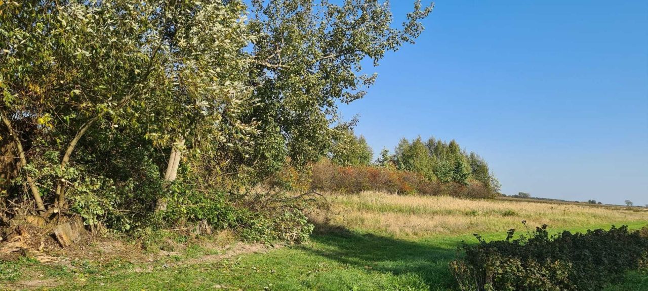 Działka rolna Obliźniak. Zdjęcie 7