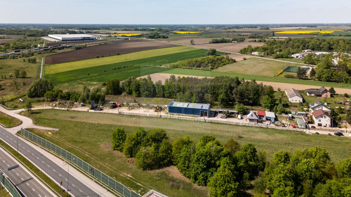 Działka inwestycyjna Tłuste. Zdjęcie 15