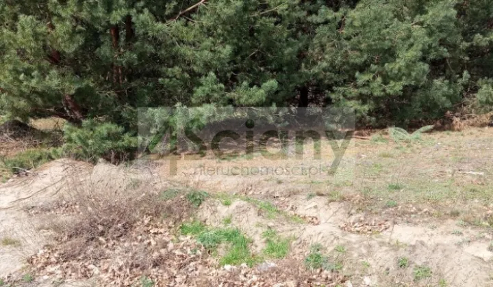 Działka budowlana Brok