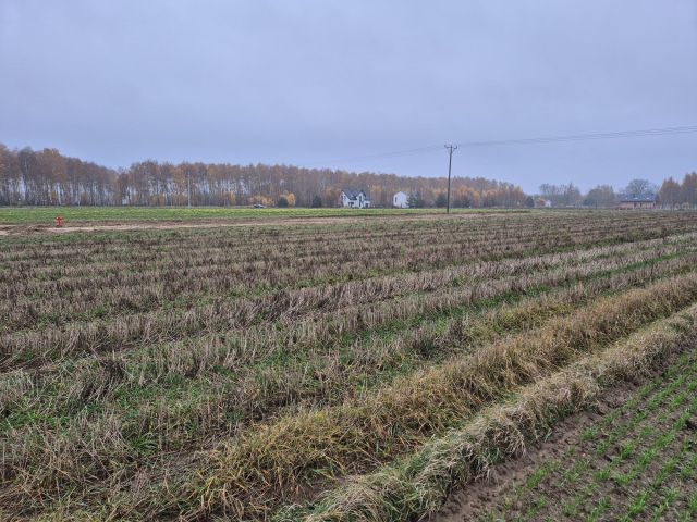Działka budowlana Młyńsk. Zdjęcie 1
