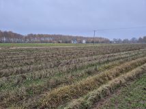 Działka budowlana Młyńsk