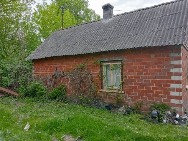 siedlisko Pisary. Zdjęcie 1