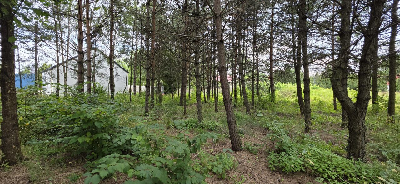 Działka budowlana Zawiercie Wydra Zielona, ul. Winna