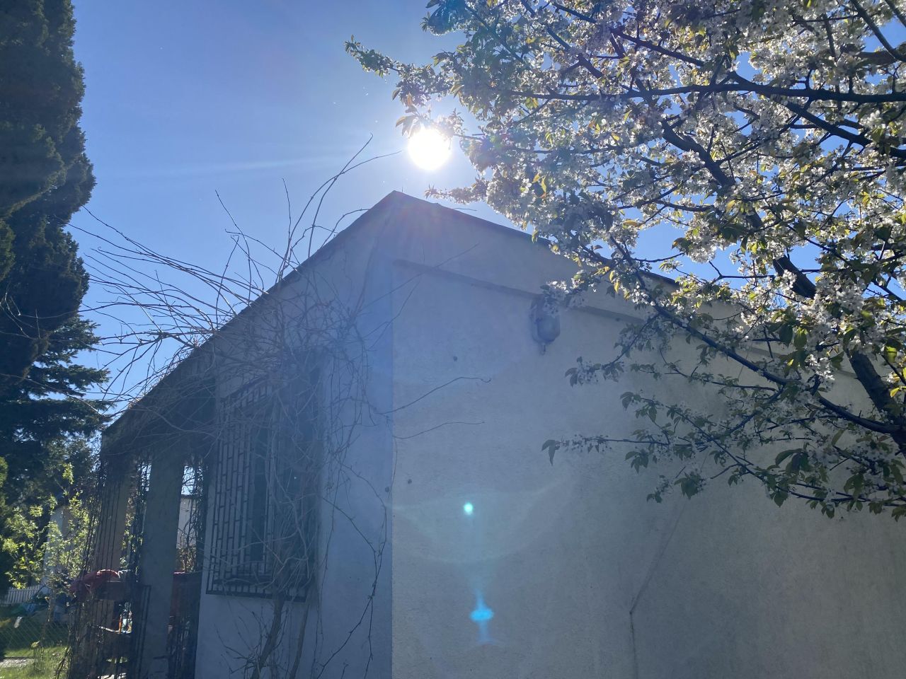 Działka rod Łódź Teofilów, Selerowa 25. Zdjęcie 30