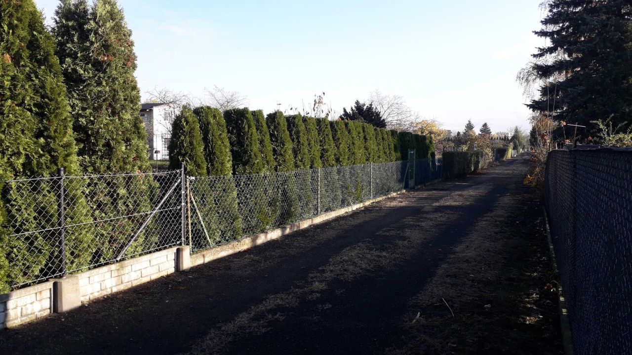 Działka rod Września, ul. Działkowców. Zdjęcie 6