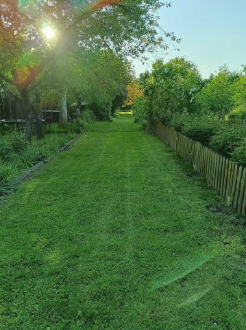 Działka rod Lublin, ul. Działkowa. Zdjęcie 1