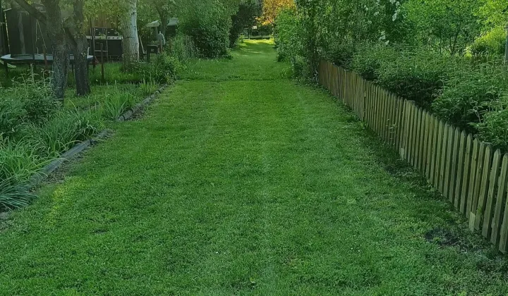 Działka rod Lublin, ul. Działkowa