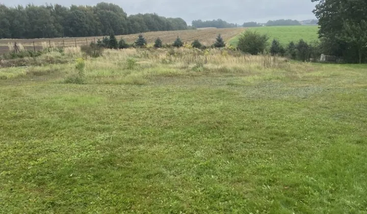 Działka budowlana Wodzisław Śląski Wilchwy, ul. Połomska