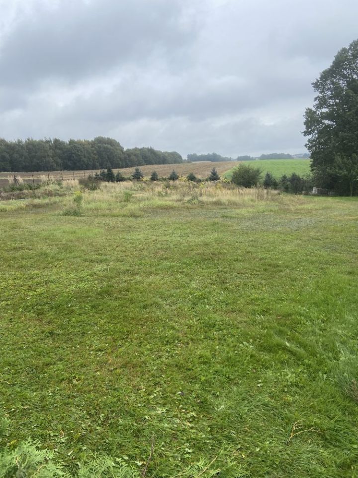 Działka budowlana Wodzisław Śląski Wilchwy, ul. Połomska