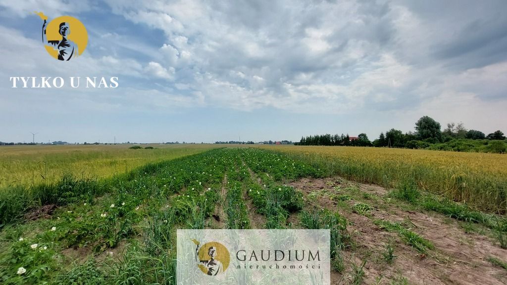 Działka inwestycyjna Sztum. Zdjęcie 5