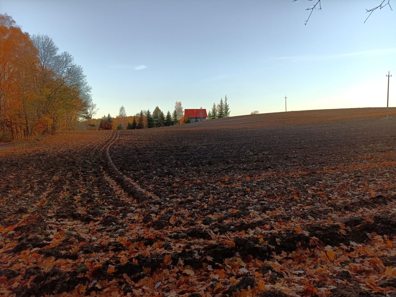 Działka rolno-budowlana Niedamowo. Zdjęcie 28