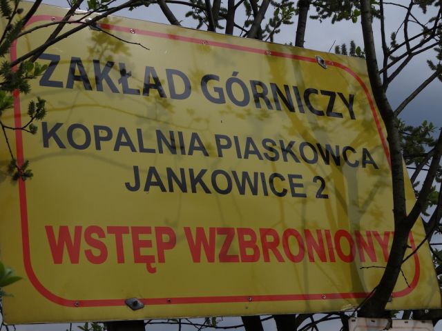 Działka budowlana Jankowice. Zdjęcie 11