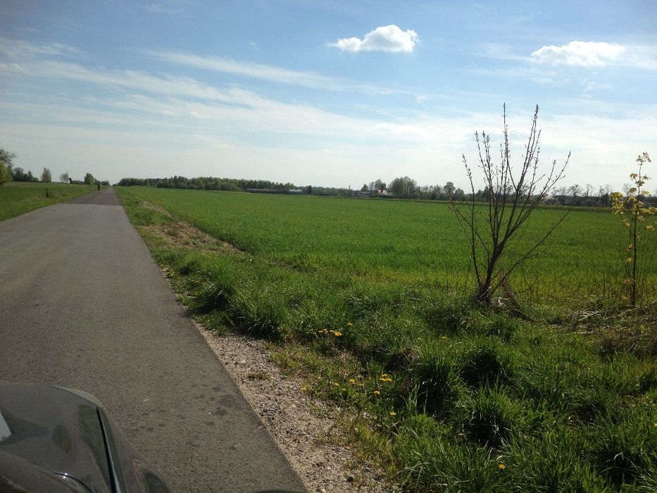 Działka rolno-budowlana Paprotnia. Zdjęcie 2