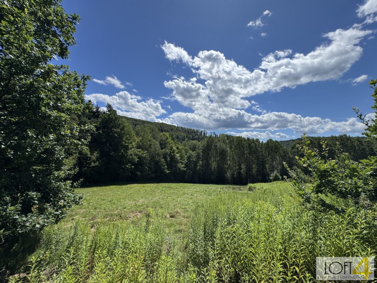 Działka budowlana Paleśnica. Zdjęcie 10