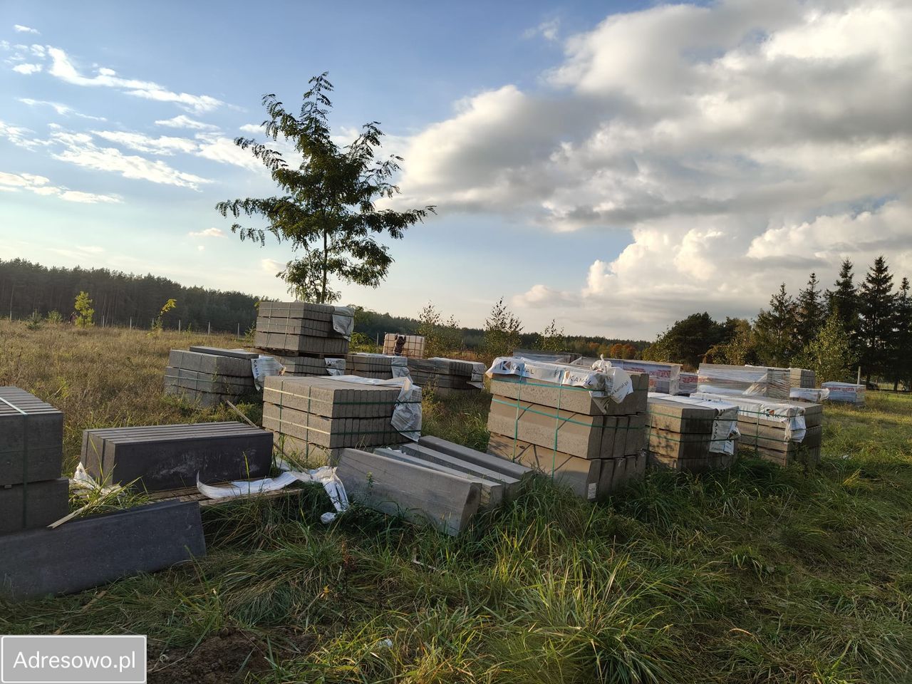 Działka budowlana Świętajno, ul. Polna. Zdjęcie 15