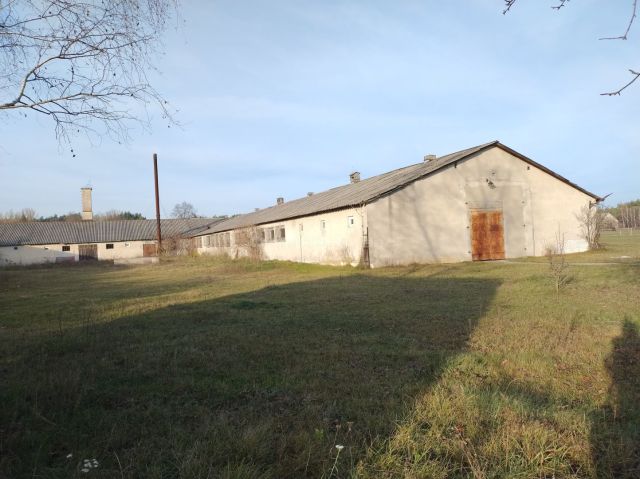 Działka budowlana Brańszczyk. Zdjęcie 10