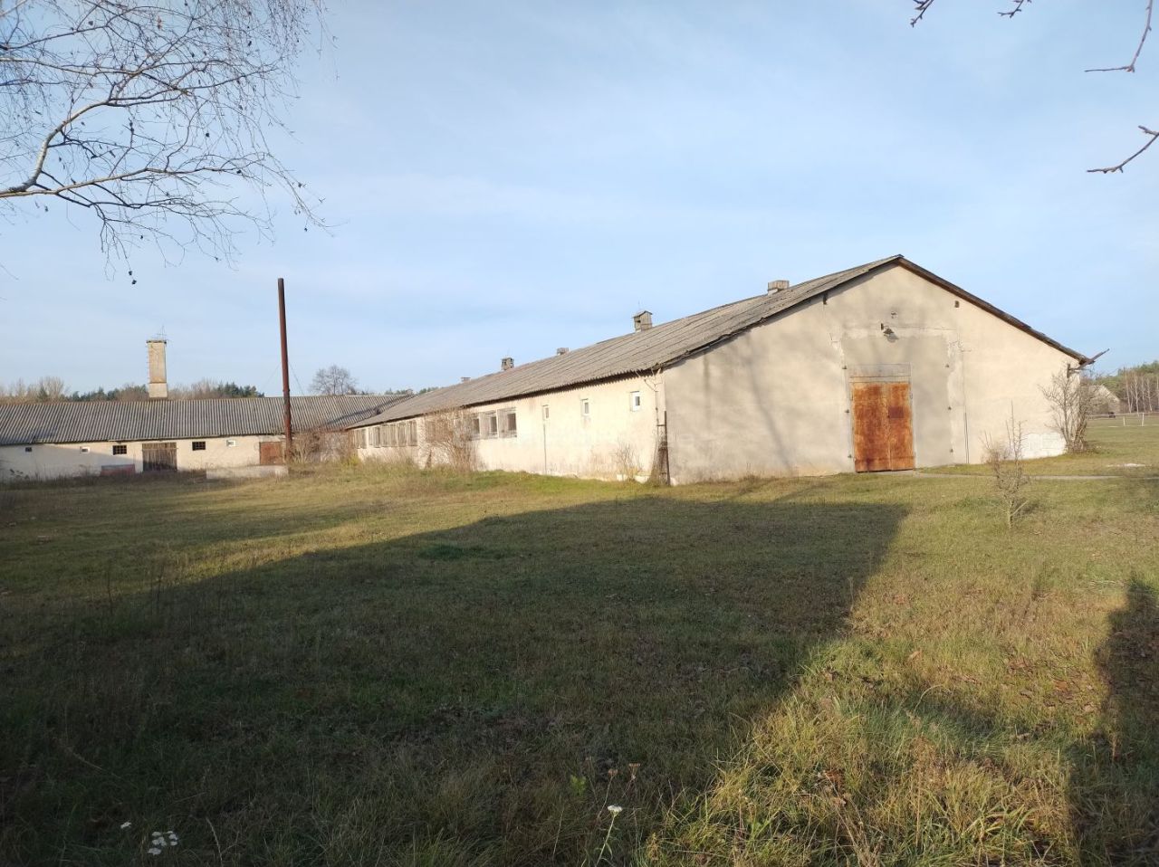 Działka budowlana Brańszczyk. Zdjęcie 10