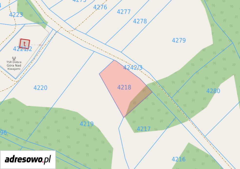 Działka rolna Dobra. Zdjęcie 3