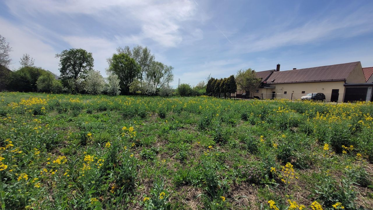 Działka rolno-budowlana Michałów. Zdjęcie 13