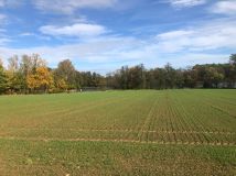 Działka rolno-budowlana Stara Wieś Stara Wieś Dolna, ul. Lipowa. Zdjęcie 4