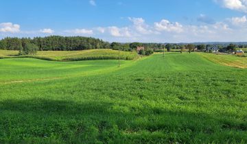 Działka siedliskowa Borzestowska Huta, brak